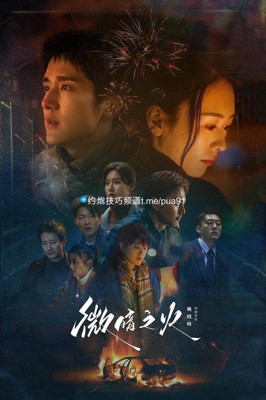 微暗之火 / 小南风 (2024)  S01 4K 纯净版 DDP5.1杜比音 悬疑剧 28集全 【刮削】【和谐不补】  31.66GB